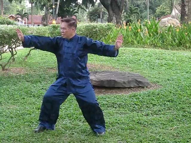 Wu Yu Xiang Style Taijiquan